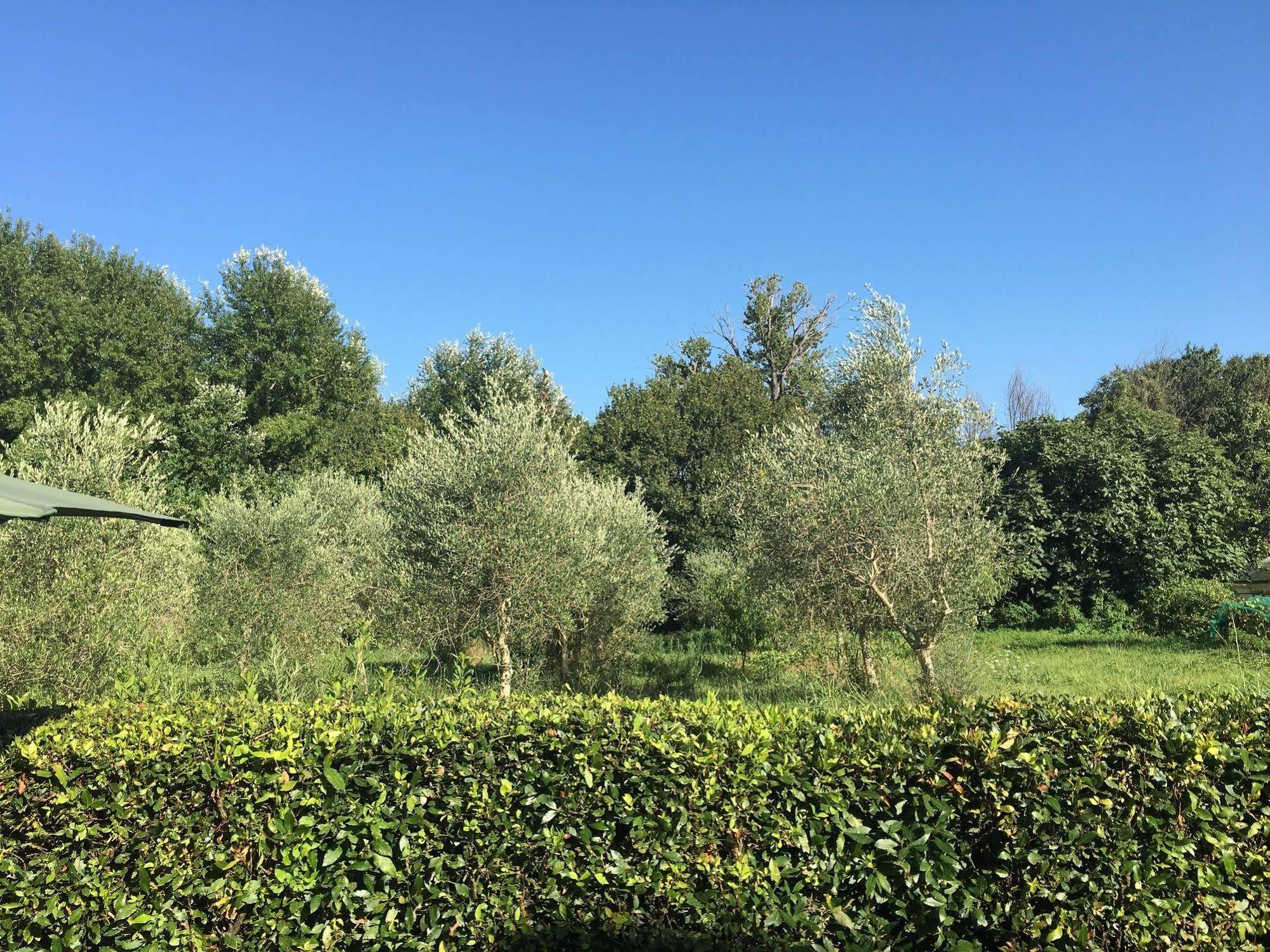 Affittacamere La Casa Di Ugo Ciglione エクステリア 写真